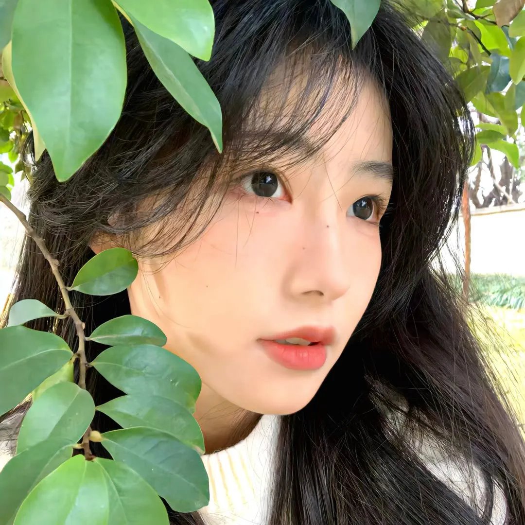 少年守卫者